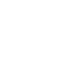Logo CFD