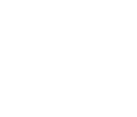 Logo EFA